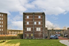 Olijfhout 41 - 3.jpg